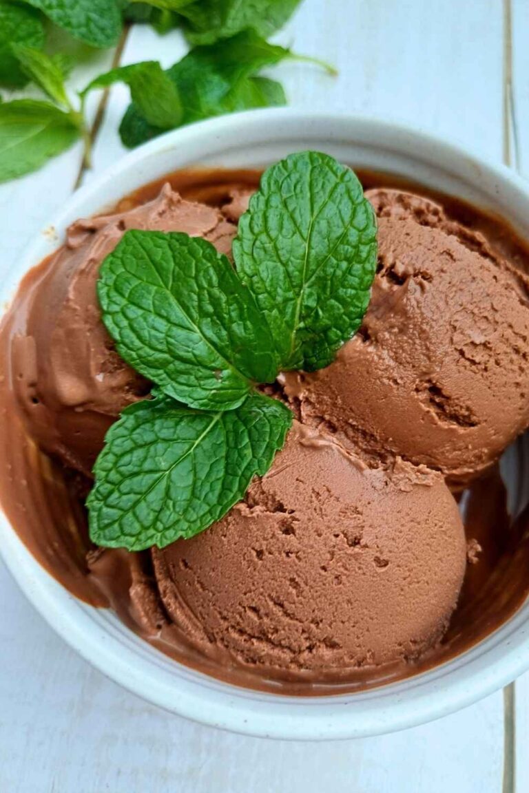 Ninja Creami chocolate mint ice cream
