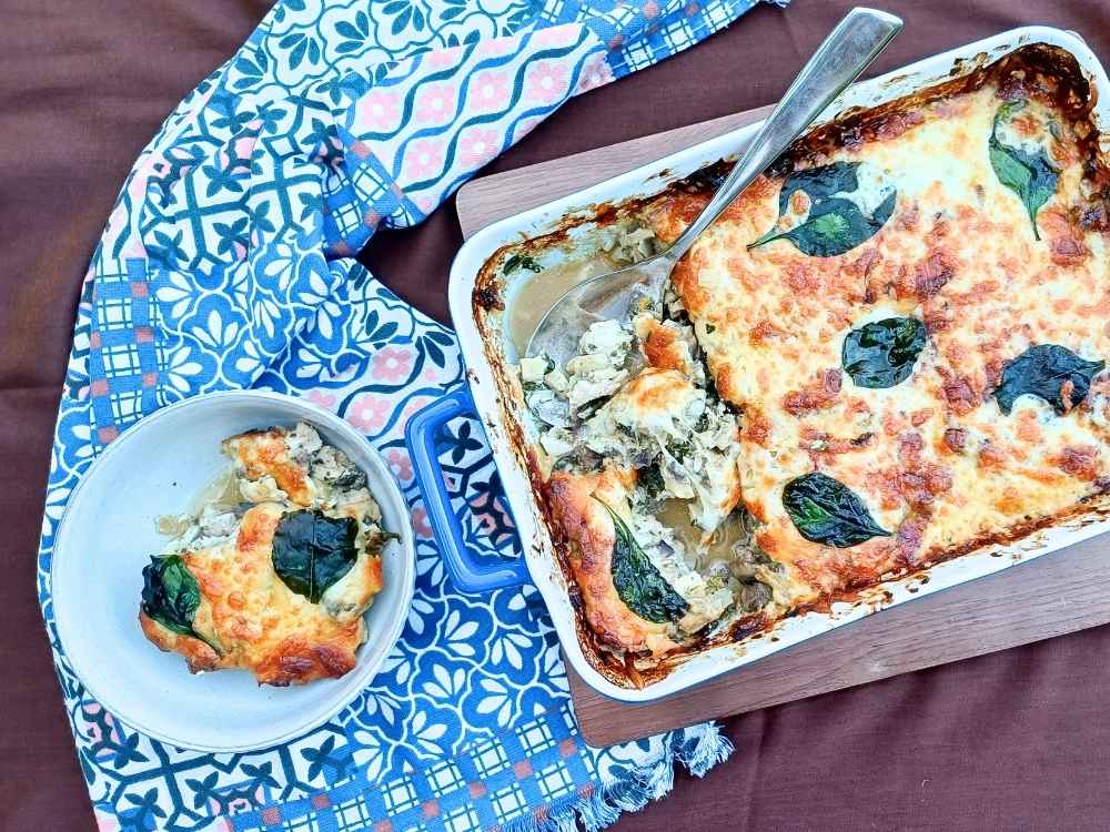 Top down view of chicken mushroom casserole.