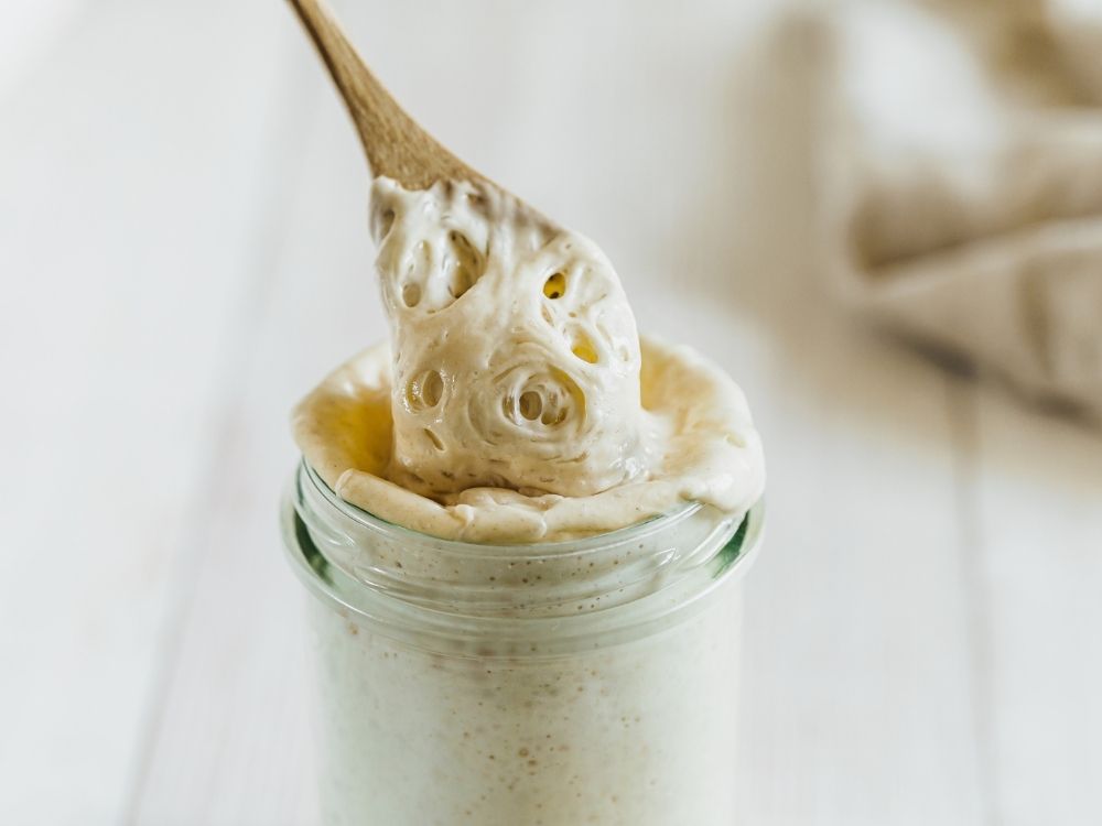Yeast sourdough culture in a glass jar with a wooden spoon showing the fermentation process