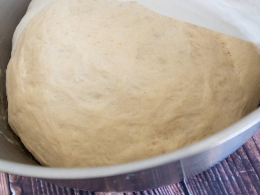 Sourdough raising for sourdough bagel recipe