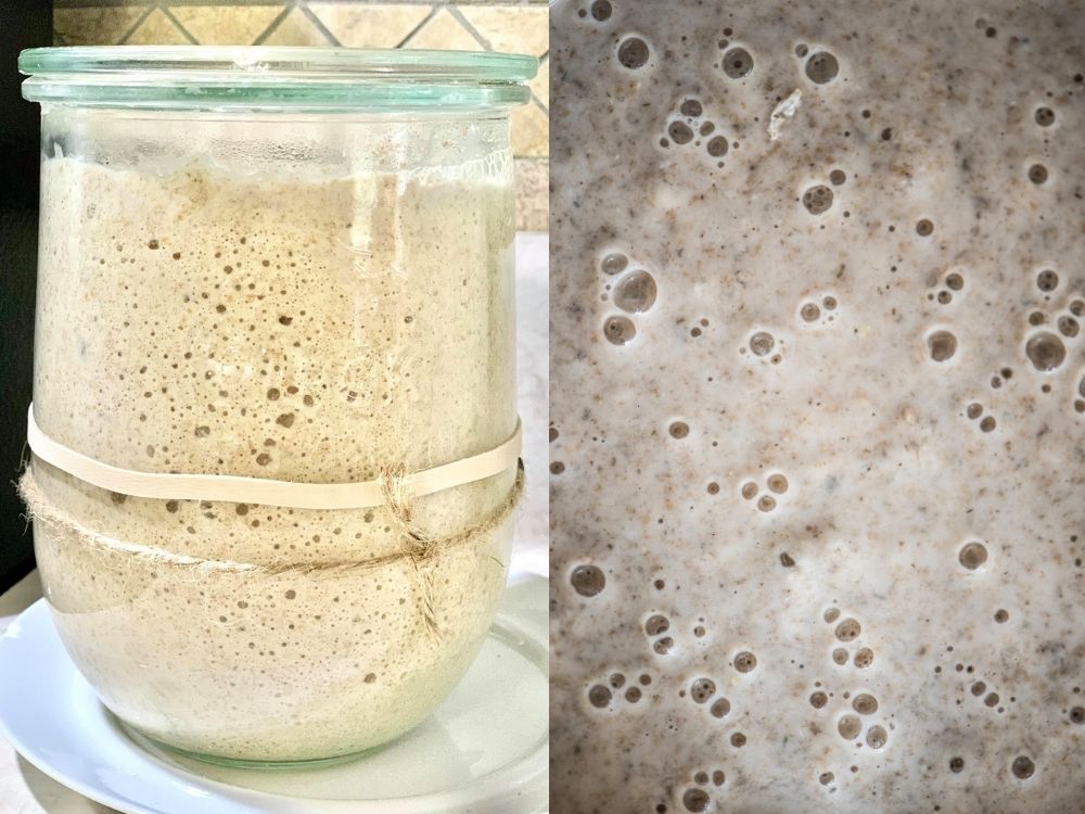 Sourdough fermenting in a glass jar and a close up shot top view of the bubbly fermentation process of the sourdough culture