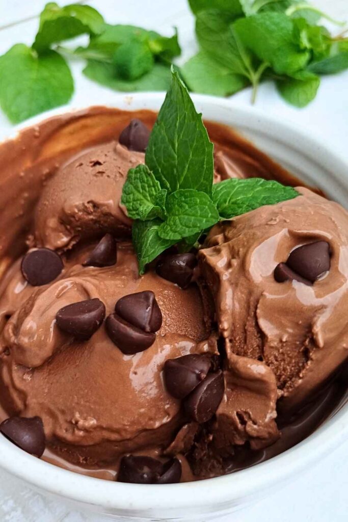 Protein chocolate Ninja Creami Ice cream with mint and chocolate chips