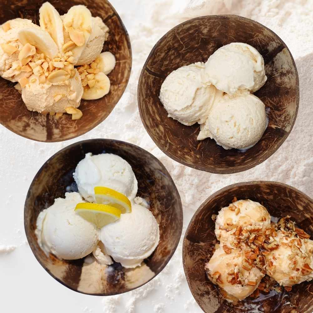 Ninja Creami protein ice cream recipes in coconut bowls