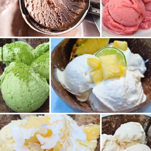 Dairy free Ninja Creami recipes collage with various flavors