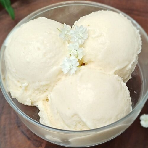 vanilla healthy Ninja Creami ice cream in a coconut shell bowl