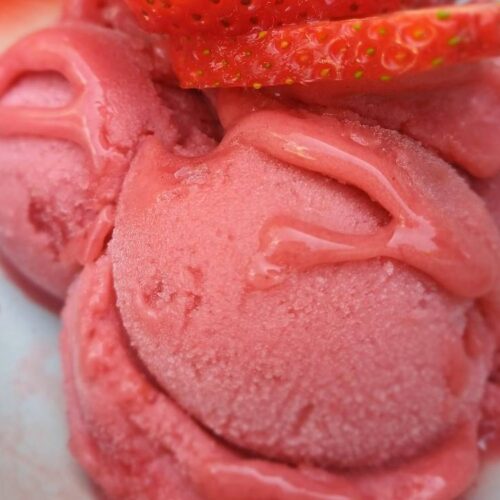 Dairy Free Ninja Creami Ice Cream