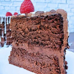 slice of almond flour chocolate cake with raspberry on top