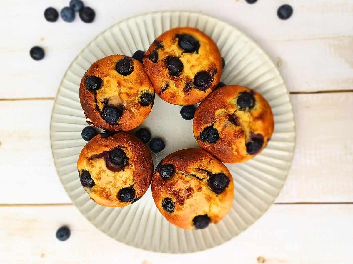 Almond flour blueberry muffins on a plate from top view