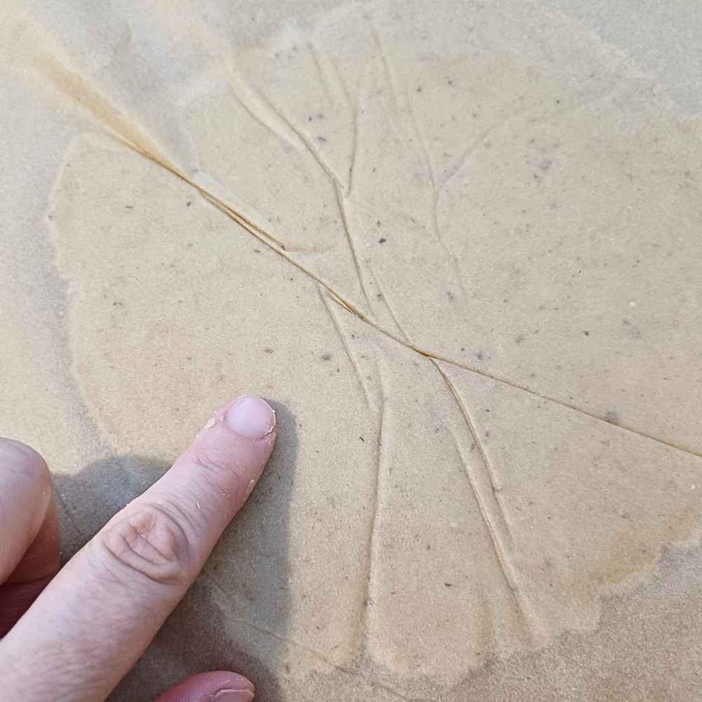 wrinkels created in a tortilla from rolling