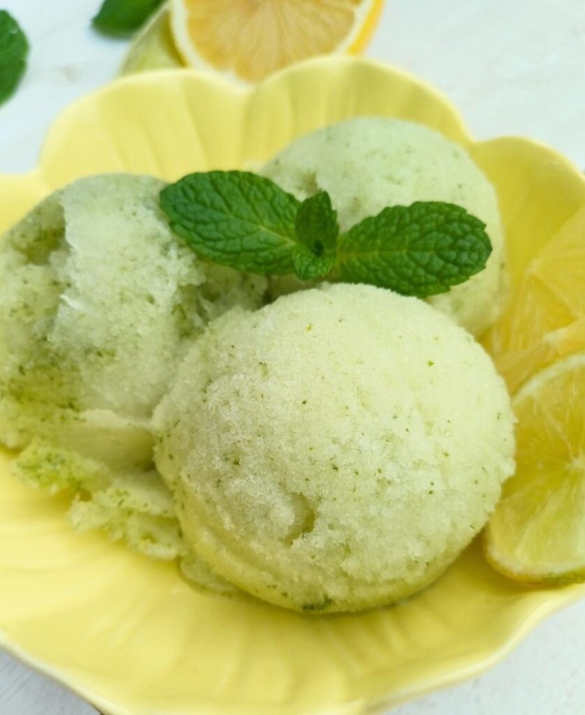 Lemon lime mint Ninja creami sorbet