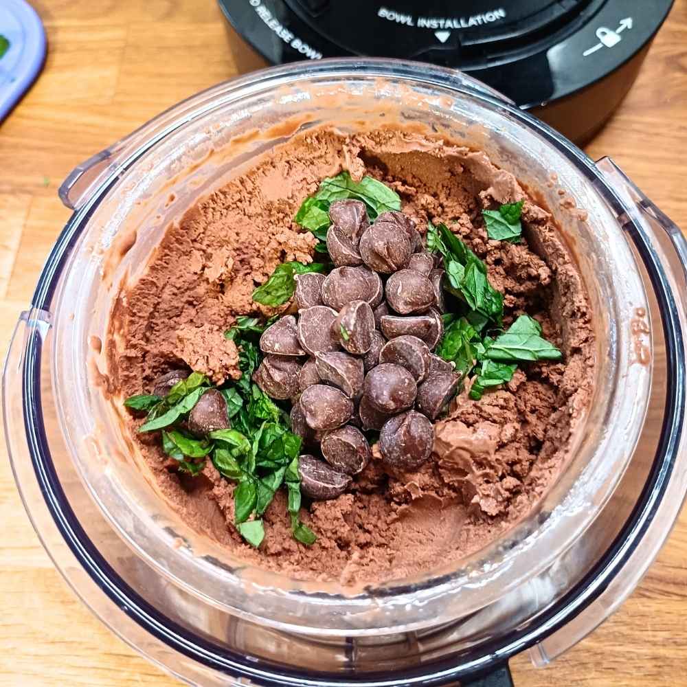 Chocolate chips and mint mix ins for Ninja creami chocolate ice cream
