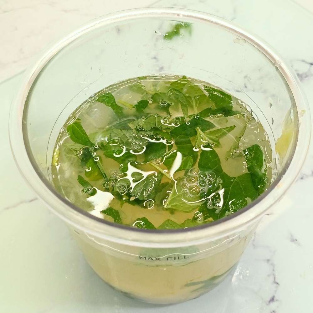 lemon lime mint and coconut water in a Ninja creami pint